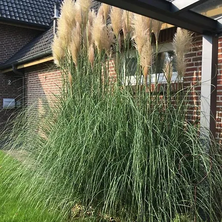 Villa An Der Au Lemkendorf Extérieur photo