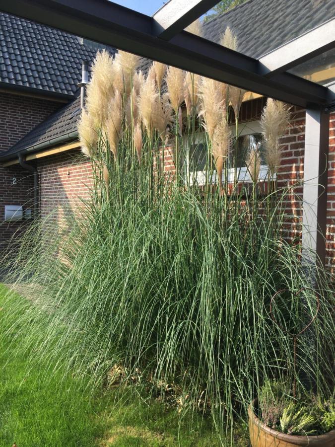 An Der Au Lemkendorf